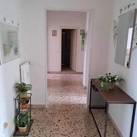 L'ulivo Montelabbate