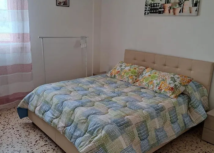 L'ulivo * Montelabbate